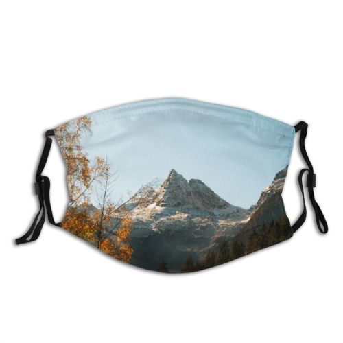 yanfind Ice Glacier Daylight Frost Pine Frosty Mountain Snowy Icy Forest Daytime Frozen Dust Washable Reusable Filter and Reusable Mouth Warm Windproof Cotton Face