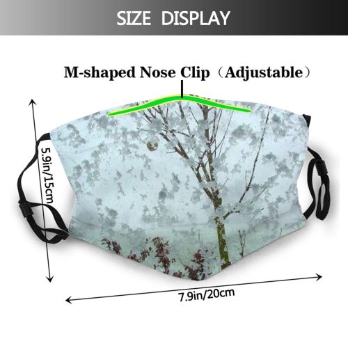yanfind Winter Plant Twig Tree Branch Plant Frost Winter Atmospheric Freezing Woody Snow Dust Washable Reusable Filter and Reusable Mouth Warm Windproof Cotton Face