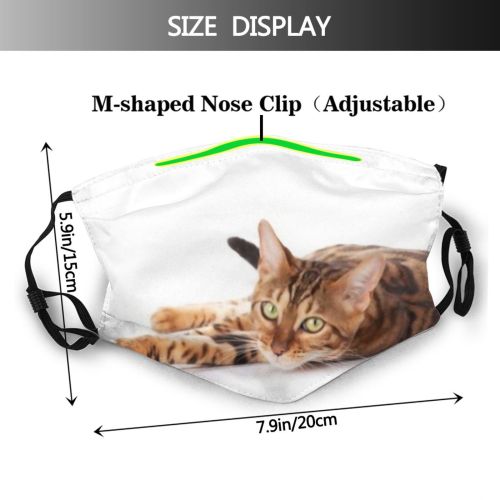 yanfind Isolated Fur Young Cat Cute Shorthair Pedigreed Leopard Pedigree Bengal Beautiful Pretty Dust Washable Reusable Filter and Reusable Mouth Warm Windproof Cotton Face
