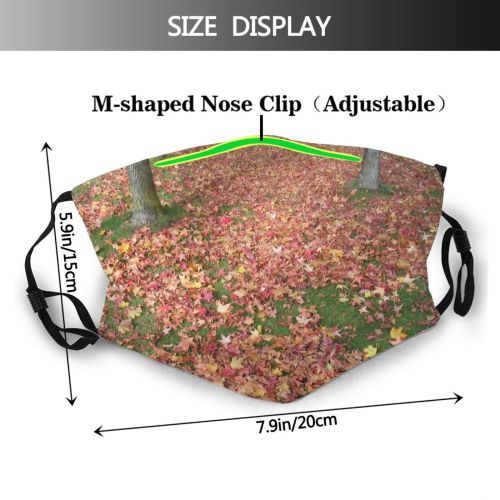 yanfind Lawn Deciduous Leaf Plant Tree Annual Plant Grass Groundcover Autumn Flower Dust Washable Reusable Filter and Reusable Mouth Warm Windproof Cotton Face