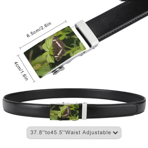 yanfind Belt UK Summer Meadow Insect Plant Season Camilla Cute Limenitis Hertford Admiral Perching Men's Dress Casual Every Day Reversible Leather Belt