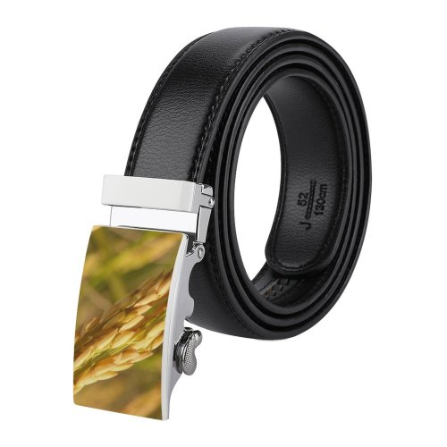 yanfind Belt  Farm Golden Plantation Rye Ripe Plant Rural Grains Straw Barley Dry Men's Dress Casual Every Day Reversible Leather Belt
