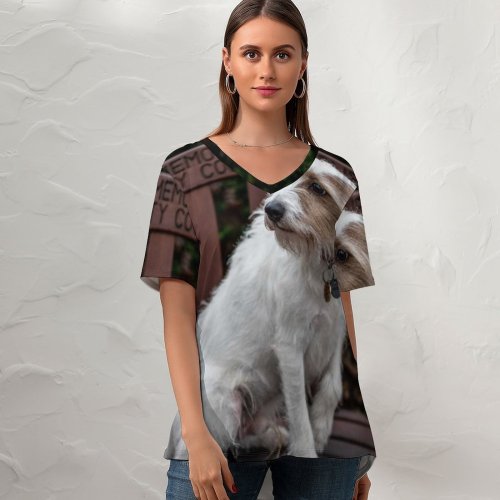 yanfind V Neck T-shirt for Women Lovely Birmingham Pet Wallpapers Sweet Pictures Bench Creative Beautiful Strap Grey Summer Top  Short Sleeve Casual Loose