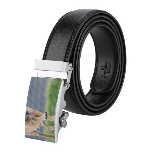 yanfind Belt  Dog Little Grass Portrait Pet Fur Outdoors Training Cute Summer Puppy Men's Dress Casual Every Day Reversible Leather Belt