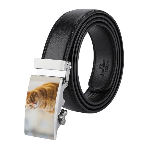 yanfind Belt  Focus Cats Cat Depth Field Pet Sit Tabby Fur Adorable Cute Men's Dress Casual Every Day Reversible Leather Belt