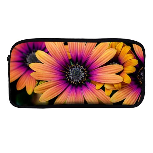 yanfind Pencil Case YHO Paul Zoetemeijer Flowers Daisy Flowers Colorful Flowers Closeup Macro Flower Heads Zipper Pens Pouch Bag for Student Office School