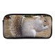 yanfind Pencil Case YHO Wildlife Vertebrate Ground Squirrel Terrestrial Fox Squirrel Grey Squirrels Whiskers Wildlife Rodent Zipper Pens Pouch Bag for Student Office School