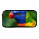 yanfind Pencil Case YHO Rainbow Lorikeet Parrot Colorful Bird Multicolor Closeup Zipper Pens Pouch Bag for Student Office School