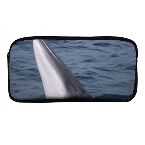 yanfind Pencil Case YHO Atlantic Images  Ripple Minkewhale Ireland Dingle Savethewhales Island Wallpapers Sea Wildlife Zipper Pens Pouch Bag for Student Office School