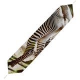 Yanfind Table Runner Sunny Images Tail Wildlife Wallpapers Grey Zebra Pictures HQ Everyday Dining Wedding Party Holiday Home Decor