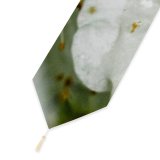 Yanfind Table Runner Geranium Images Anther Petal Snowman Anemone Snow Wallpapers Plant Outdoors Blossoming Bloom Everyday Dining Wedding Party Holiday Home Decor