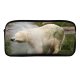 yanfind Pencil Case YHO Vertebrate Terrestrial Polar  Warming Wildlife Grizzly  Adaptation Polar Zipper Pens Pouch Bag for Student Office School
