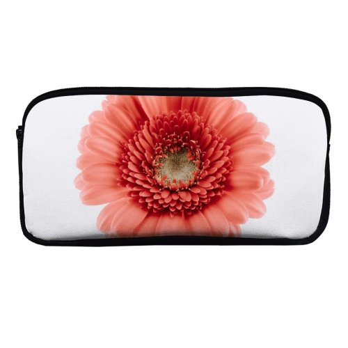 yanfind Pencil Case YHO Paweł Czerwiński Flowers Gerbera Daisy Flower Closeup Macro  Bloom Spring Flower Zipper Pens Pouch Bag for Student Office School