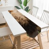 Yanfind Table Runner Images Kruger Southafrica Africa Wildlife Safari Fauna Free Simba Pictures Mane Bigfive Everyday Dining Wedding Party Holiday Home Decor