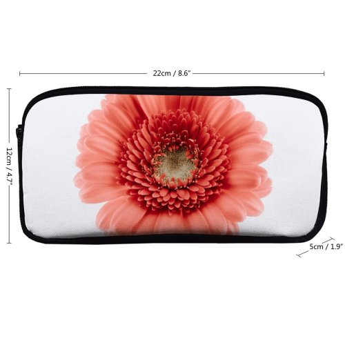 yanfind Pencil Case YHO Paweł Czerwiński Flowers Gerbera Daisy Flower Closeup Macro  Bloom Spring Flower Zipper Pens Pouch Bag for Student Office School