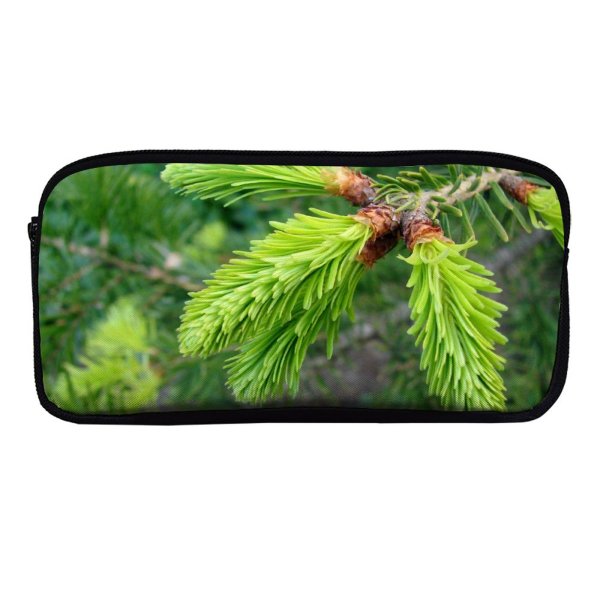yanfind Pencil Case YHO Winter Spruce Evergreen LyalliiSubalpine Balsam Cone Shortleaf Pine Loblolly Shortstraw Larix Larch Zipper Pens Pouch Bag for Student Office School