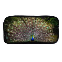 yanfind Pencil Case YHO Paul Carmona  Grass Beautiful Feathers Bird Trees Colorful Zipper Pens Pouch Bag for Student Office School