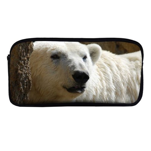 yanfind Pencil Case YHO Vertebrate Adaptation Carnivore Terrestrial Arctic  Warming Snout   Polar Zipper Pens Pouch Bag for Student Office School
