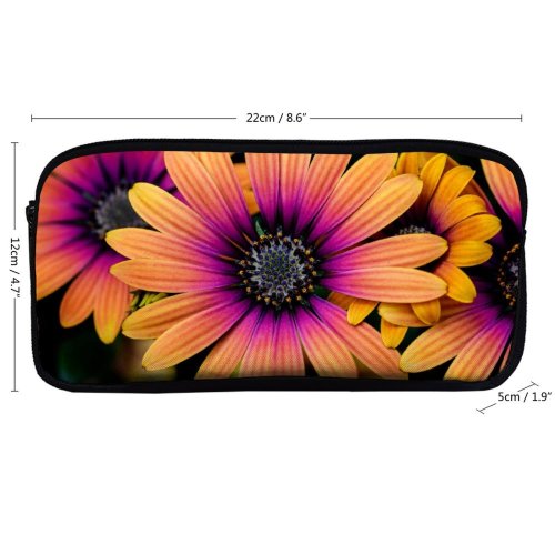 yanfind Pencil Case YHO Paul Zoetemeijer Flowers Daisy Flowers Colorful Flowers Closeup Macro Flower Heads Zipper Pens Pouch Bag for Student Office School