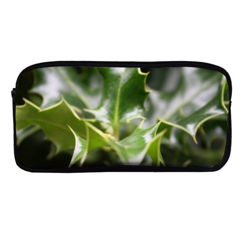 yanfind Pencil Case YHO Winter Greenery Christmas Leaves  Plant Bush Plane Flower  Leaf Tree Zipper Pens Pouch Bag for Student Office School