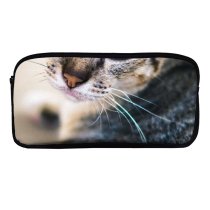 yanfind Pencil Case YHO Lovely Images Penh Shoot Abyssinian Pictures Pet Kitten Phnom Cambodia Cat Zipper Pens Pouch Bag for Student Office School