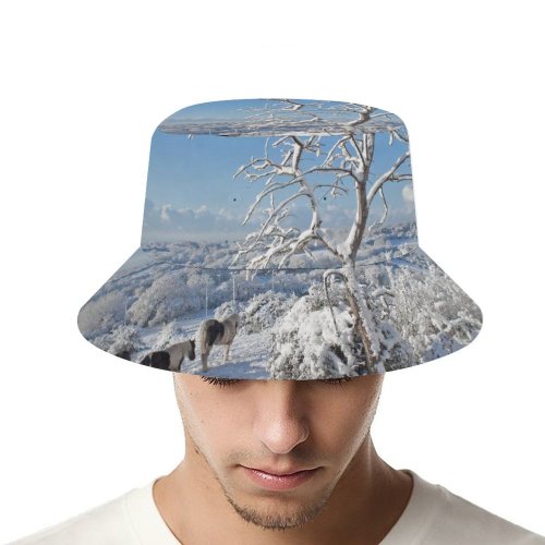 yanfind Adult Fisherman's Hat Winter Sky Wales Christmas Winter Horses Brisk Landscape Landscape Sky Fields Plant Fishing Fisherman Cap Travel Beach Sun protection