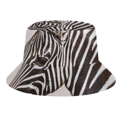yanfind Adult Fisherman's Hat Images Wildlife Wallpapers Grey Zebra Pictures Public Domain Fishing Fisherman Cap Travel Beach Sun protection