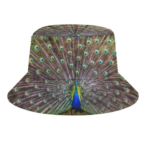 yanfind Adult Fisherman's Hat Paul Carmona Peacock Grass Beautiful Feathers Bird Trees Colorful Fishing Fisherman Cap Travel Beach Sun protection