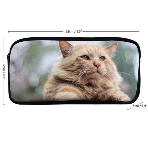 yanfind Pencil Case YHO Lovely Images Pet Manx Tom Pakistan Angry Plant Stock Free Islamabad Pictures Zipper Pens Pouch Bag for Student Office School