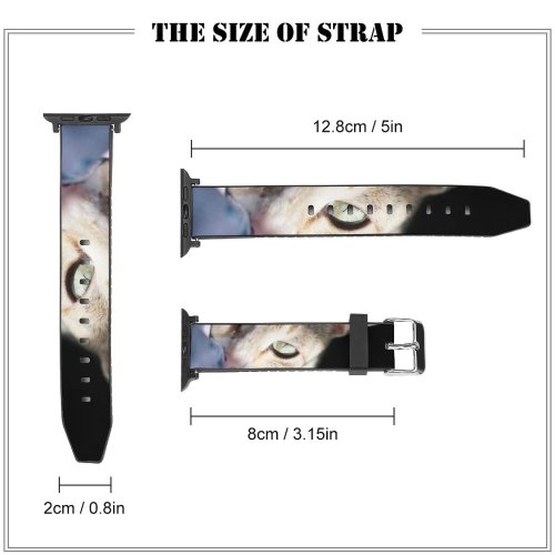 yanfind Watch Strap for Apple Watch Funny Curiosity Cute Sleep Little Young  Studio Siamese Kitten Whisker Fur Compatible with iWatch Series 5 4 3 2 1