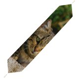 Yanfind Table Runner Young Grass Pet Funny Outdoors Kitten Portrait Wildlife Cute Little Staring Cat Everyday Dining Wedding Party Holiday Home Decor