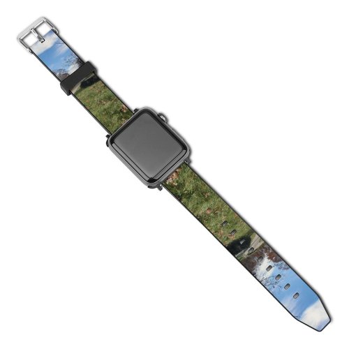 yanfind Watch Strap for Apple Watch Ridge Parkway Mountians Virginia Landscape Road Park Forest Car Trans Tunnel Natural Compatible with iWatch Series 5 4 3 2 1
