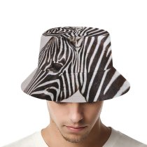 yanfind Adult Fisherman's Hat Images Wildlife Wallpapers Grey Zebra Pictures Public Domain Fishing Fisherman Cap Travel Beach Sun protection