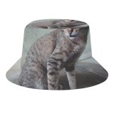 yanfind Adult Fisherman's Hat Lovely Kitty Images Pet Eye Manx Wallpapers Decor Abyssinian Free Blueish Pictures Fishing Fisherman Cap Travel Beach Sun protection