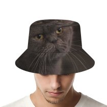yanfind Adult Fisherman's Hat Lovely Images Pet Cafe Manx Wallpapers Closeup Stock Free Pictures Cat Grey Fishing Fisherman Cap Travel Beach Sun protection