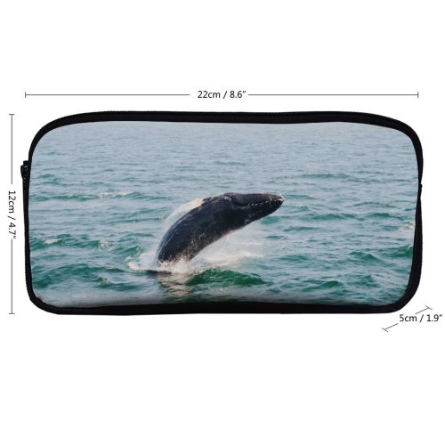 yanfind Pencil Case YHO  Images  Ocean  Sea Wallpapers Wildlife  Harbor Travel Stock Zipper Pens Pouch Bag for Student Office School