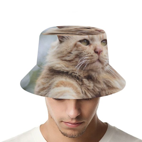 yanfind Adult Fisherman's Hat Lovely Images Pet Manx Tom Pakistan Angry Plant Stock Free Islamabad Pictures Fishing Fisherman Cap Travel Beach Sun protection