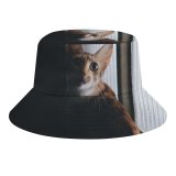 yanfind Adult Fisherman's Hat Lovely Gatinhos Images Pet Manx Public Wallpapers Decor Abyssinian Gold Pictures Exposição Fishing Fisherman Cap Travel Beach Sun protection