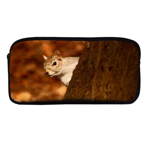yanfind Pencil Case YHO Boo Squirrel Organism Tree Squirrel Tree Trunk Whiskers Woods Branch Grey Snout Zipper Pens Pouch Bag for Student Office School
