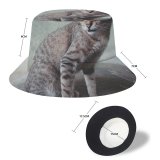 yanfind Adult Fisherman's Hat Lovely Kitty Images Pet Eye Manx Wallpapers Decor Abyssinian Free Blueish Pictures Fishing Fisherman Cap Travel Beach Sun protection