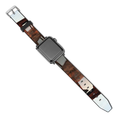yanfind Watch Strap for Apple Watch Train  Field Pond Tracks Girder Trestle Truss Beam Nonbuilding Structure Burr Compatible with iWatch Series 5 4 3 2 1