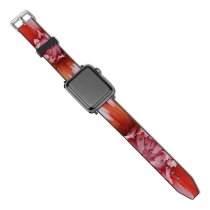 yanfind Watch Strap for Apple Watch Kolkata  Balcony Gardening Terrace Rose Garden Domain Plant Public Bengal Compatible with iWatch Series 5 4 3 2 1