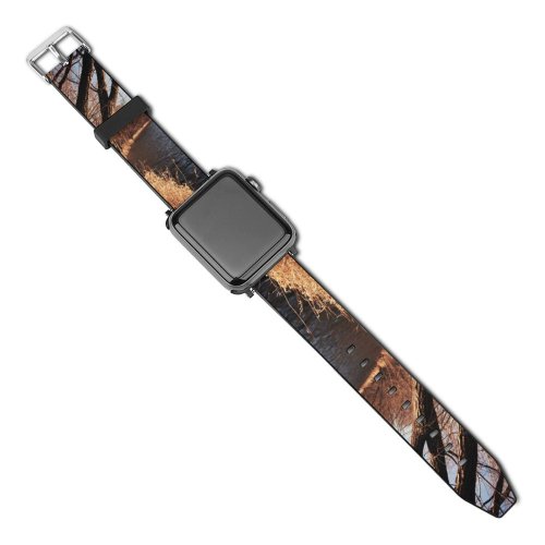 yanfind Watch Strap for Apple Watch  Spring Trees Sunset Scenery  Lake Pond Dead  River Tree- Compatible with iWatch Series 5 4 3 2 1