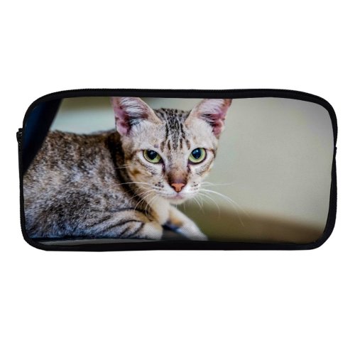 yanfind Pencil Case YHO Lovely Images Pet Manx Public Wallpapers Abyssinian Phnom Cambodia Pictures Chair Room Zipper Pens Pouch Bag for Student Office School