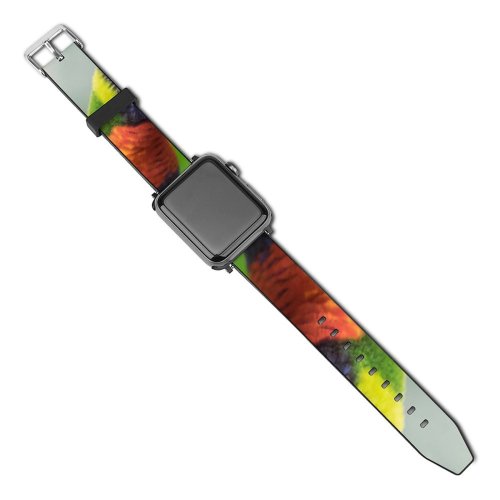 yanfind Watch Strap for Apple Watch William Warby Rainbow Lorikeet Colorful Closeup Bokeh Bird Compatible with iWatch Series 5 4 3 2 1