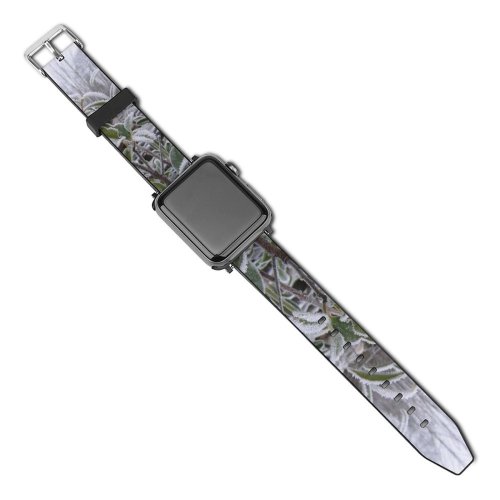 yanfind Watch Strap for Apple Watch Winter Flower Frost Winter Subshrub Buddleia Plant Flower Flowering Leaf Leaf Frost Compatible with iWatch Series 5 4 3 2 1