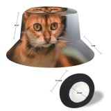 yanfind Adult Fisherman's Hat Lovely Images Pet Manx Public Wuhan Wallpapers Abyssinian Pictures Cat China Kitten Fishing Fisherman Cap Travel Beach Sun protection