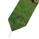 Yanfind Table Runner Virginia Field Mountain Grass Rural Plant Spring Outdoors Farm Pasture Land Everyday Dining Wedding Party Holiday Home Decor