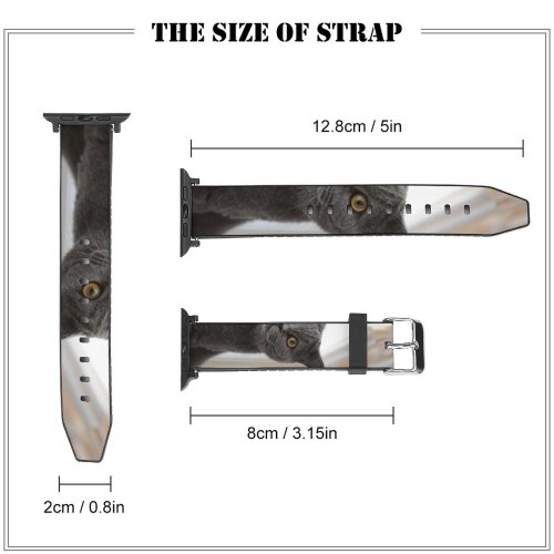 yanfind Watch Strap for Apple Watch Funny Curiosity Sit Cute Window  Portrait Family Kitten Pet Whisker Fur Compatible with iWatch Series 5 4 3 2 1