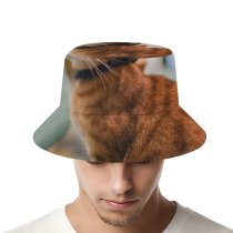 yanfind Adult Fisherman's Hat Lovely Images Wuhan Decor China Plant Abyssinian Pictures Pet Home Manx Free Fishing Fisherman Cap Travel Beach Sun protection